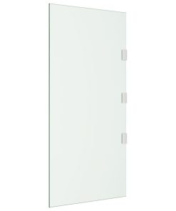 Bočna ploča za nadstrešnicu vrata prozirna 50x100 cm staklena
