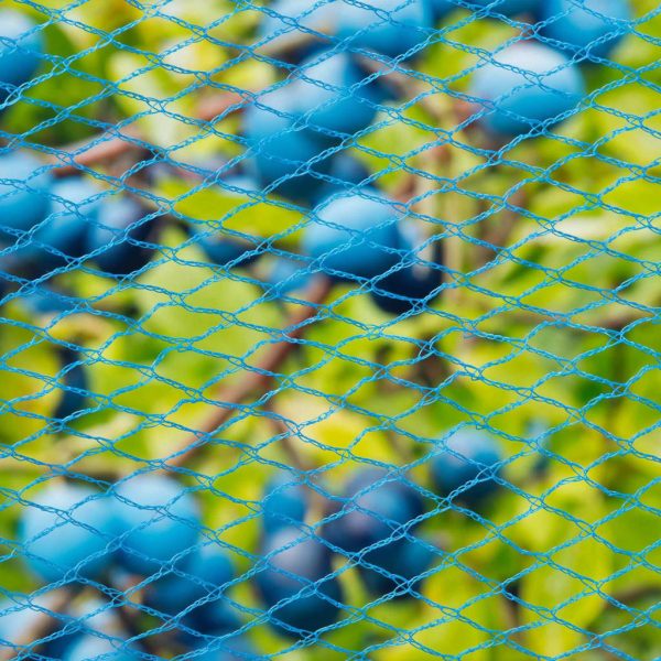 423501 Nature Bird Netting "Nano" 5x4 m Blue - Image 3