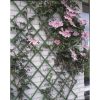 Nature Vrtna Rešetka 50x150 cm PVC Zelena 6040702