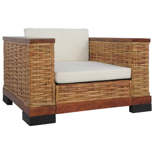 2-dijelni set sofa od prirodnog ratana s jastucima smeđi