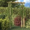 Pergola/luk za ruže 150 x 60 x 204 cm od impregniranog drva